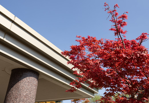 写真:大自然の中にある特別な場所